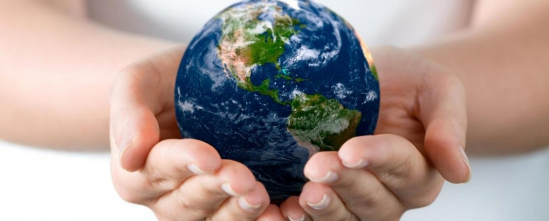 2-Import-and-Export-Agency-Services-1130x455-min